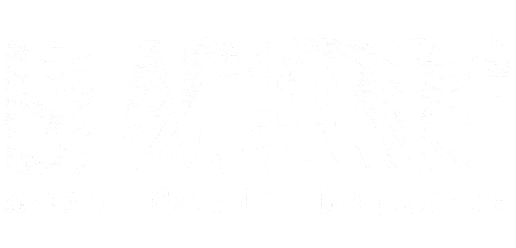 BLACKDOG Logo